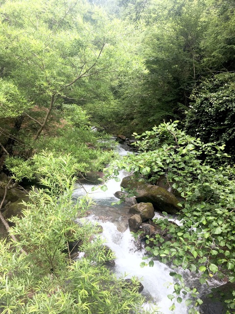 49F64AC9-FDE6-438E-A93C-FF63A2E2FF49.jpeg