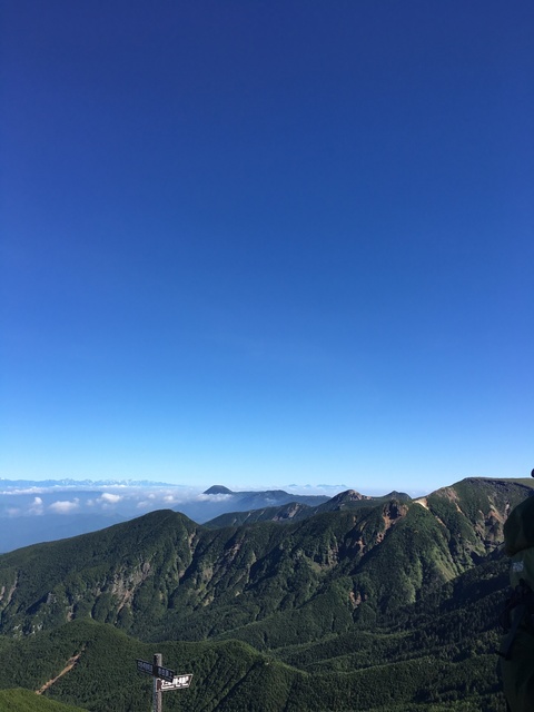 962B5B02-15CC-4DD9-BE07-BDF77167A48F.jpeg