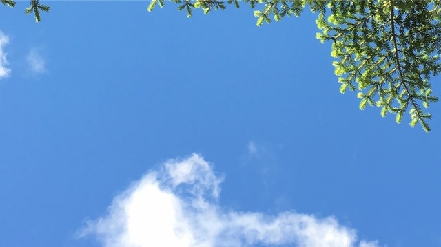 D7A54538-68F2-4D1E-B234-288FEF37742C.jpeg